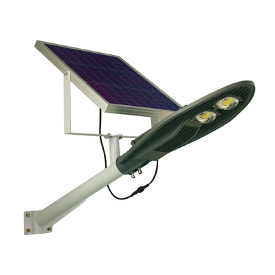 Đèn đường NLMT chiếc lá  100W TS – 75100