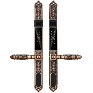 Khóa điện tử tân cổ điển DSmart CDN39T vân tay 2 chiều